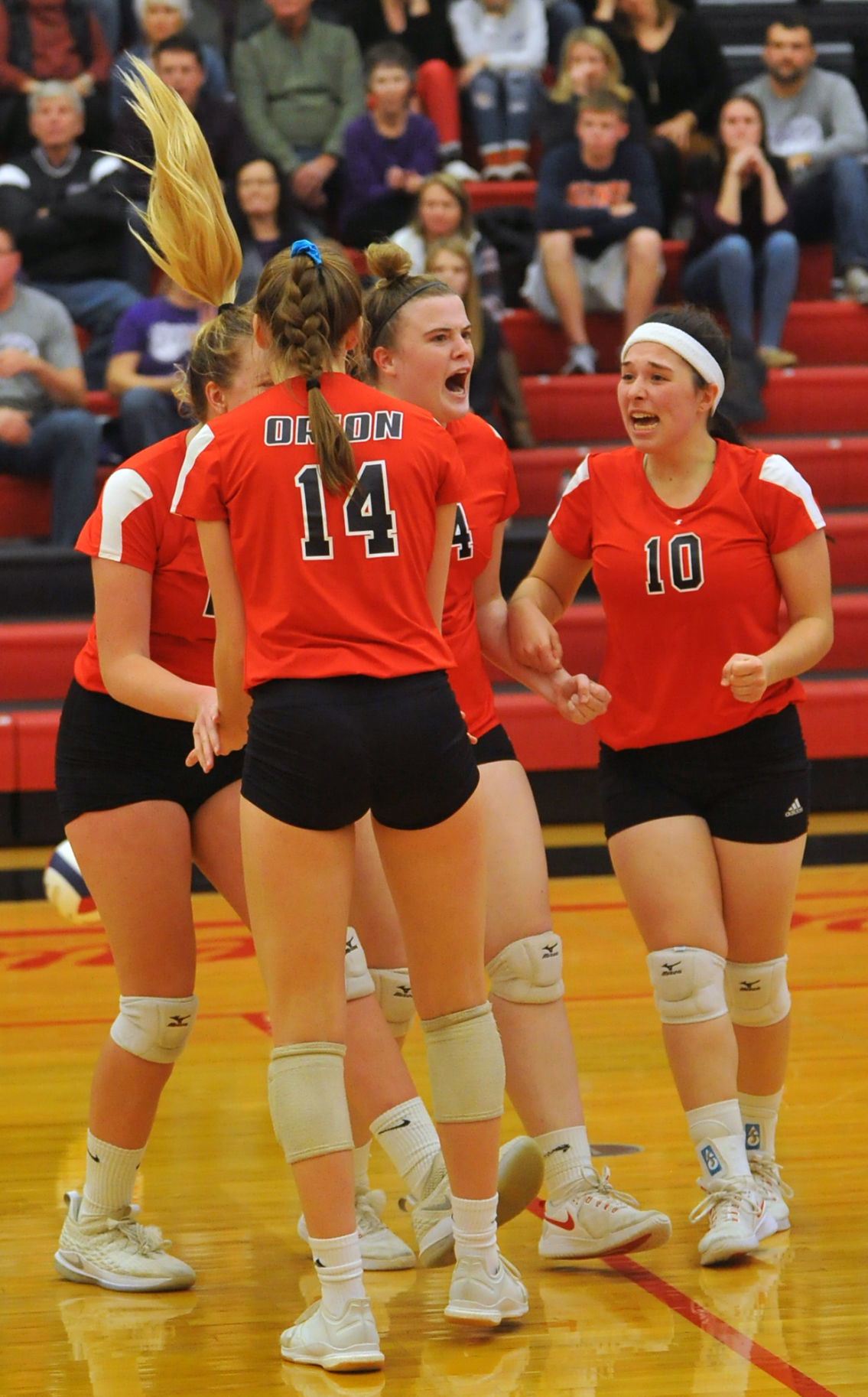 Orion vs El Paso Sectional volleyball tournament